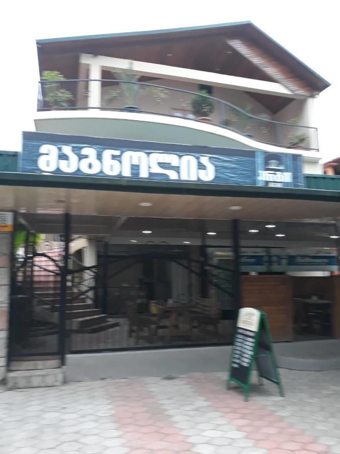 Magnolia Hotel Agmashenebeli Кобулеті Екстер'єр фото