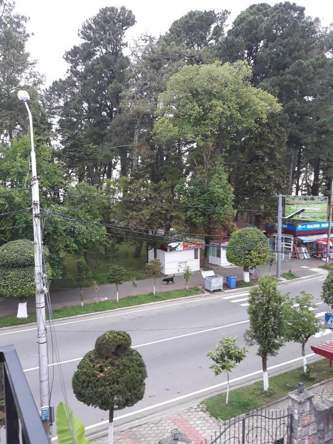 Magnolia Hotel Agmashenebeli Кобулеті Екстер'єр фото